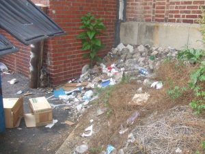 Trash piles build up in the vacant lots along Kensington Avenue