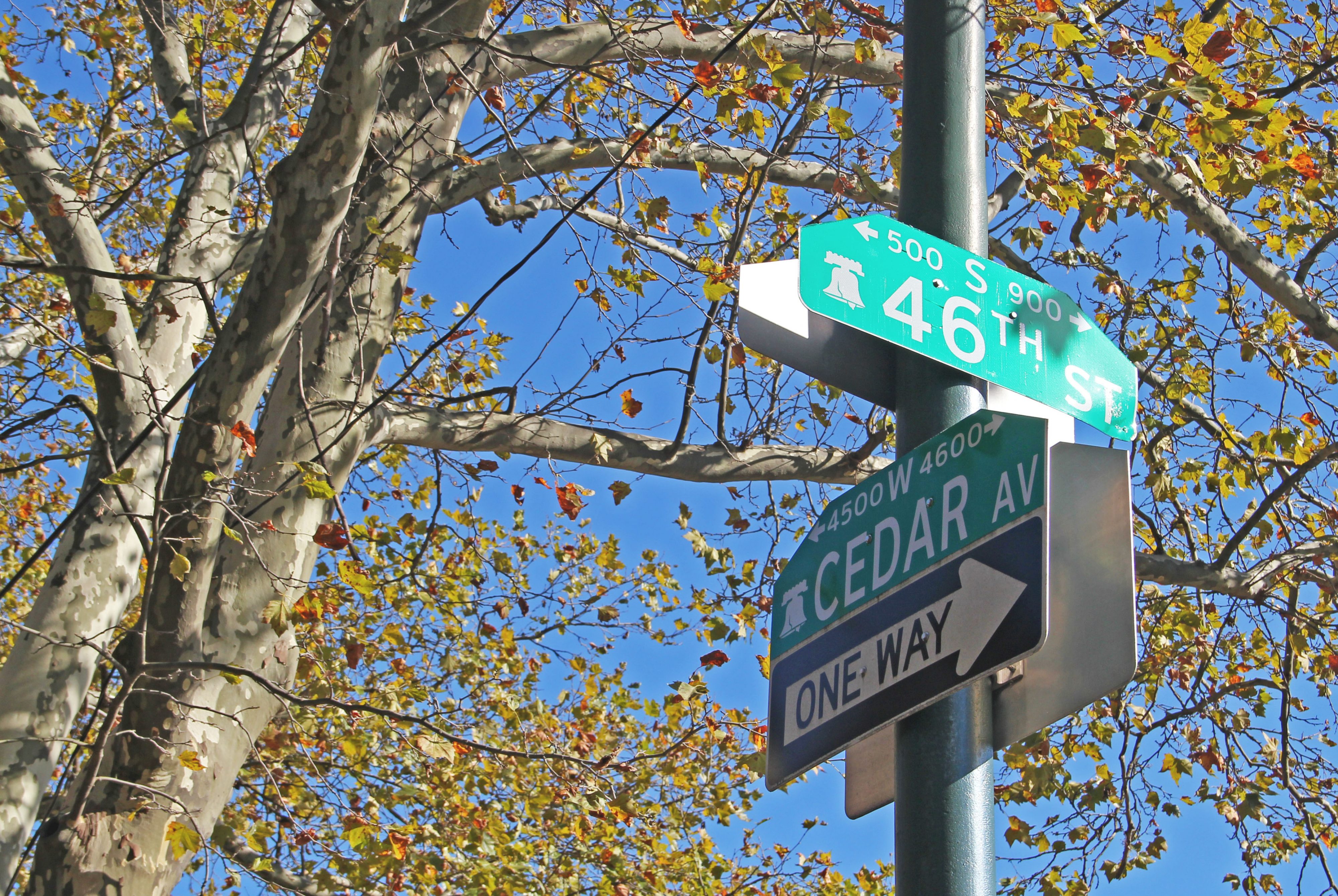 Spruce Hill: South 46th Street Celebrates 100 Years - Philadelphia ...