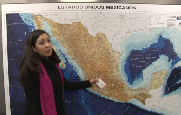 Ana Flores has served as the Executive Director of the Program for nearly 4 years.