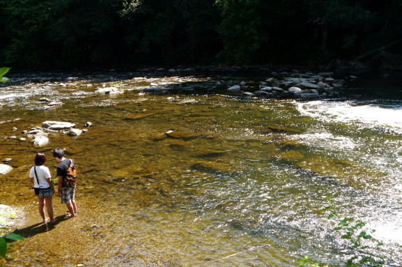Creek2